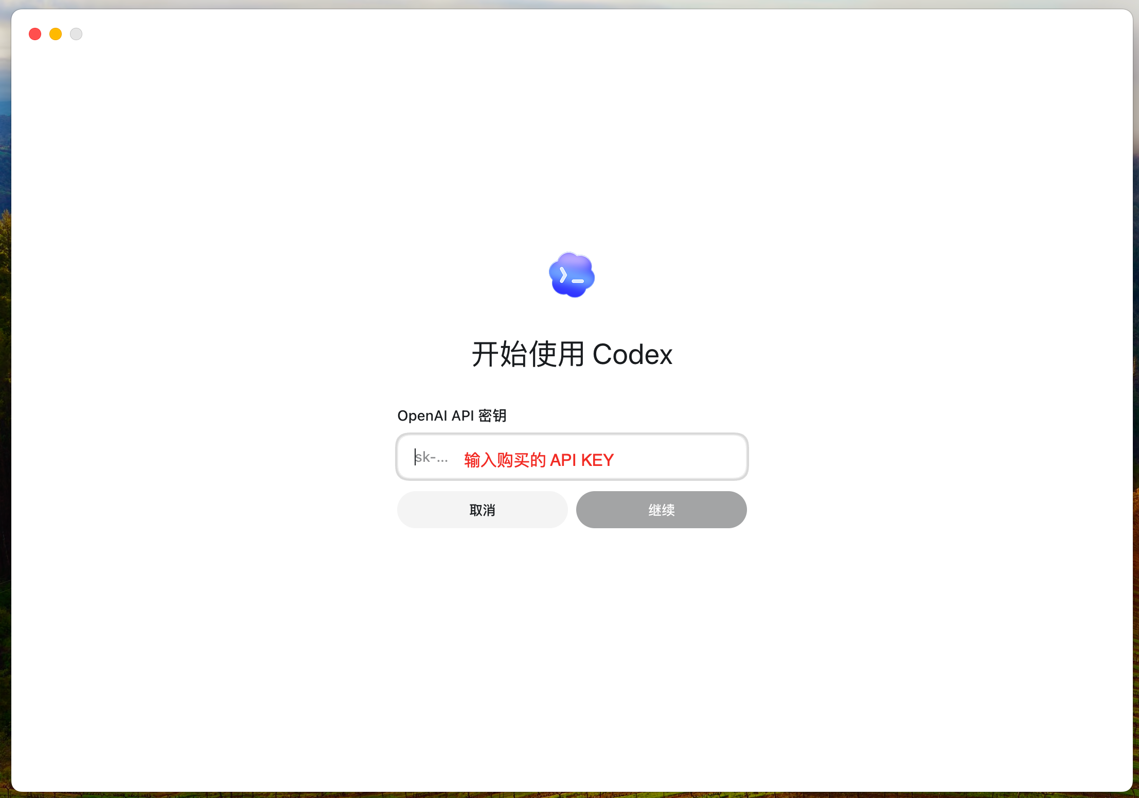 Codex API Key 输入窗口