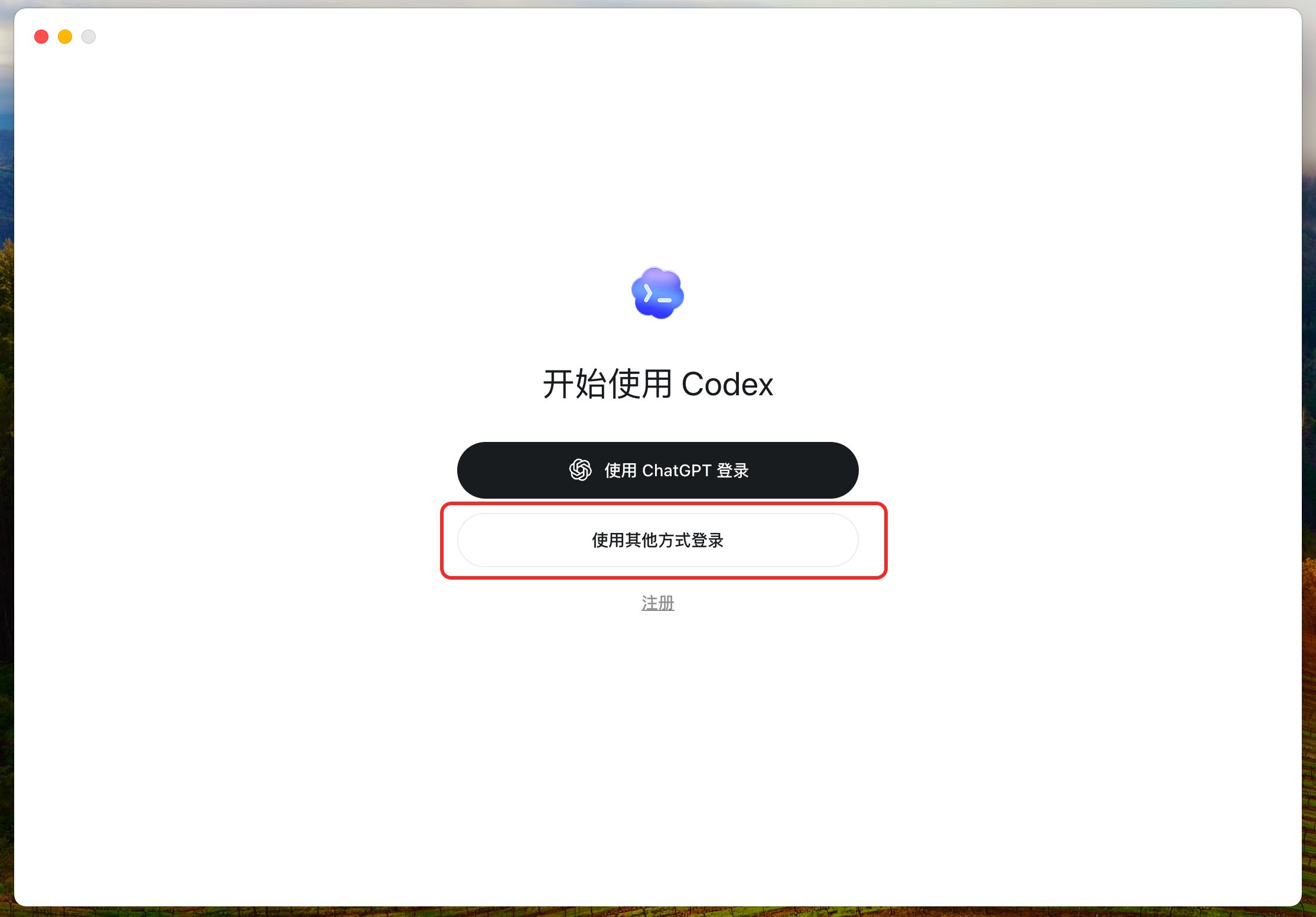 Codex 登录方式选择